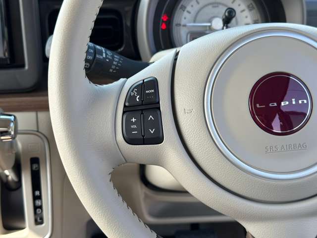 スズキ アルトラパン　ＬＣ ＬＣ ６６０ Ｘ R5年 (中国) 99