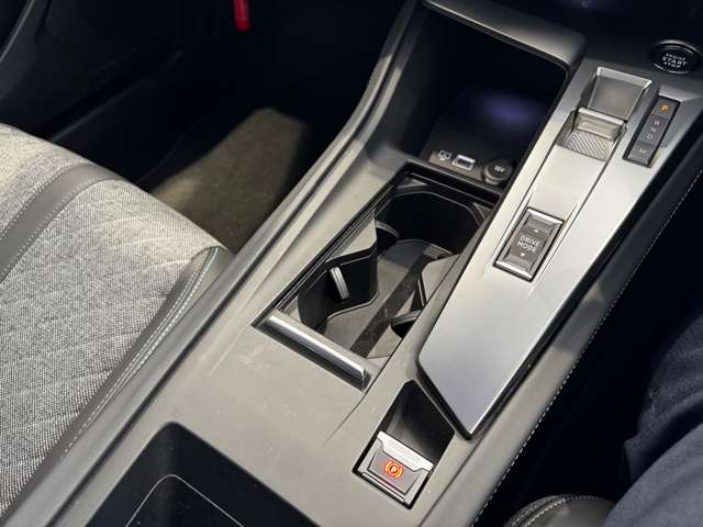 プジョー ４０８ アリュール R6年 (中国) 99