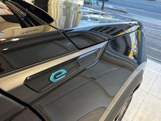 プジョー ｅ−２００８ ＧＴ R5年 (中国) 99