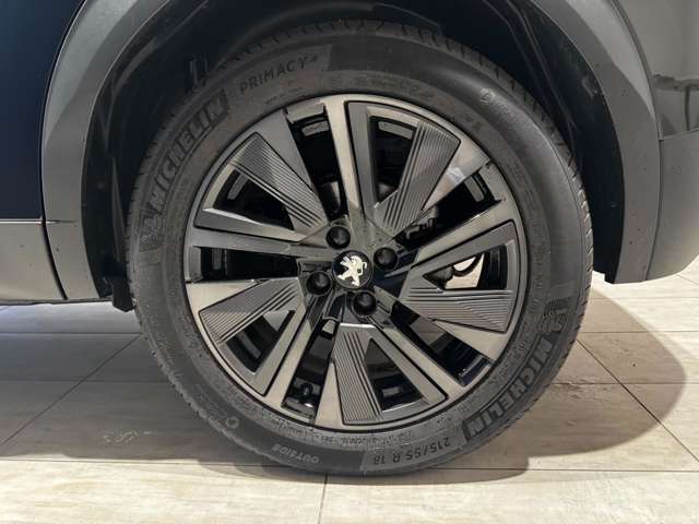 プジョー ｅ−２００８ ＧＴ R5年 (中国) 99