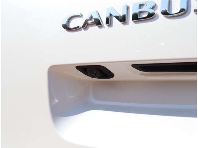 ダイハツ ムーヴ　キャンバス ６６０ ストライプス Ｇ R6年 (関東) 99