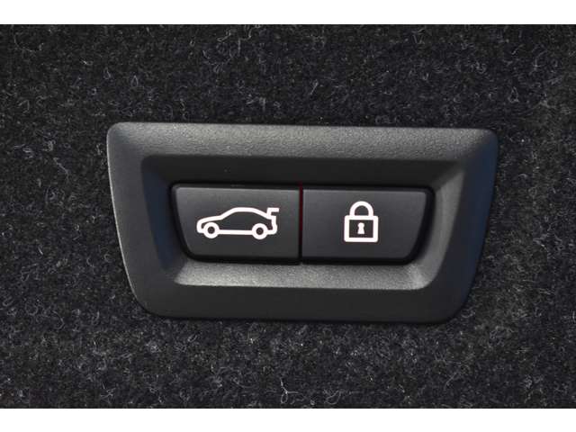 ＢＭＷ ３シリーズ ３３０ｉ　Ｍスポーツ R1年 (関東) 99