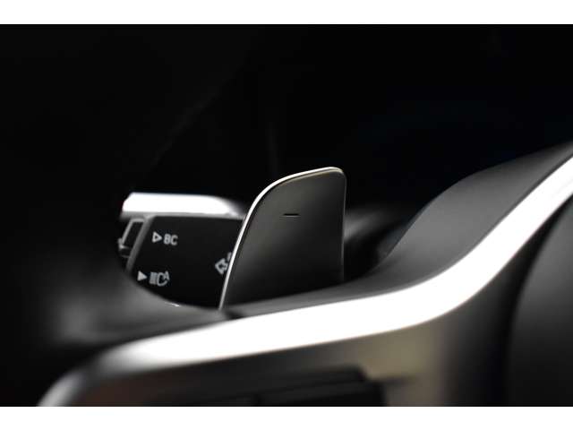 ＢＭＷ ３シリーズ ３３０ｉ　Ｍスポーツ R1年 (関東) 99