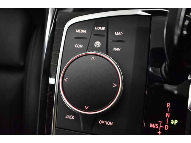 ＢＭＷ ３シリーズ ３３０ｉ　Ｍスポーツ R1年 (関東) 99