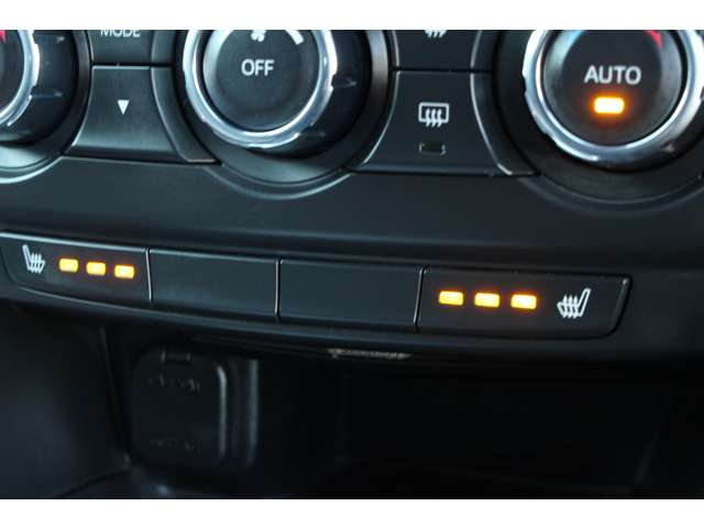 マツダ アテンザ　ワゴン ２．２ ＸＤ Ｌパッケージ ディーゼルターボ H24年 (関東) 99