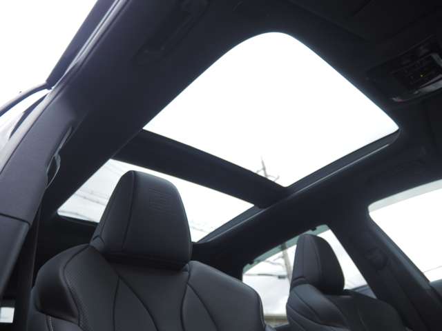 レクサス ＲＸ５００ｈ ５００Ｈ Ｆスポーツ パフォーマンス ４ＷＤ R5年 (近畿) 99