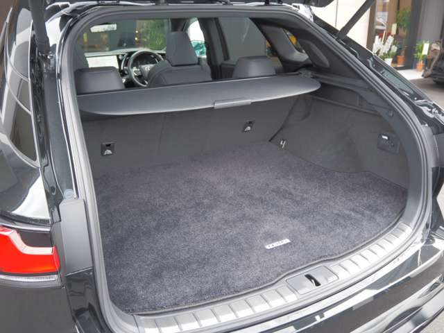 レクサス ＲＸ５００ｈ ５００Ｈ Ｆスポーツ パフォーマンス ４ＷＤ R5年 (近畿) 99