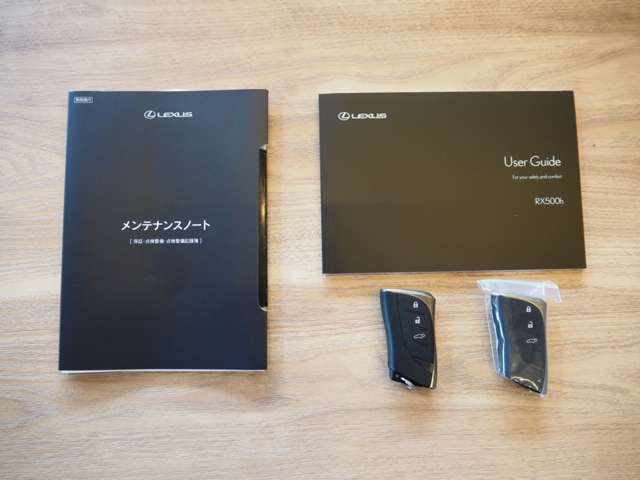 レクサス ＲＸ５００ｈ ５００Ｈ Ｆスポーツ パフォーマンス ４ＷＤ R5年 (近畿) 99