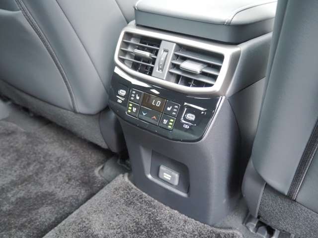 レクサス ＲＸ５００ｈ ５００Ｈ Ｆスポーツ パフォーマンス ４ＷＤ R5年 (近畿) 99