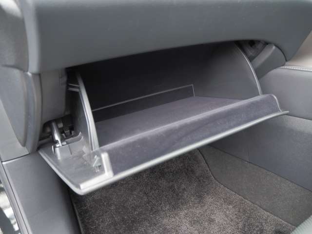 レクサス ＲＸ５００ｈ ５００Ｈ Ｆスポーツ パフォーマンス ４ＷＤ R5年 (近畿) 99