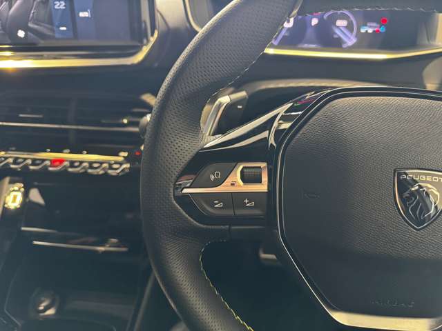 プジョー ＳＵＶ ２００８ ＧＴ R6年 (中国) 99