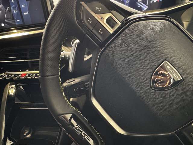 プジョー ＳＵＶ ２００８ ＧＴ R6年 (中国) 99