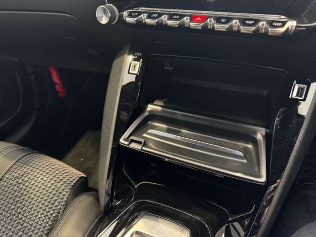 プジョー ｅ−２０８ ＧＴ R5年 (中国) 99