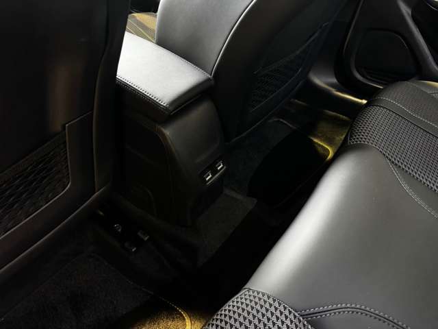 プジョー ｅ−２０８ ＧＴ R5年 (中国) 99