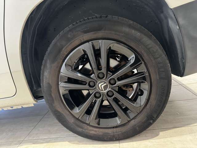 シトロエン ベルランゴ シャイン ディーゼルターボ R3年 (中国) 99