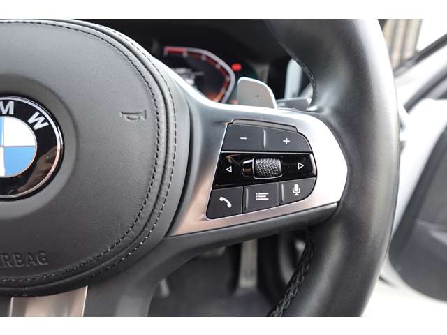 ＢＭＷ ３シリーズ ３１８Ｉ Ｍスポーツ R3年 (近畿) 99