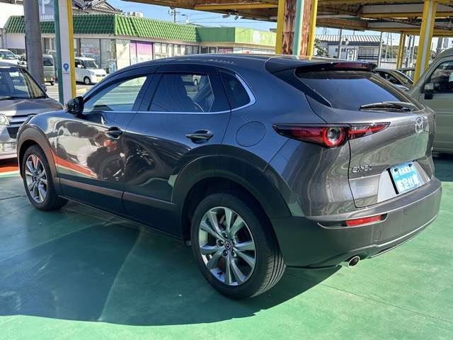 マツダ ＣＸ−３０ ２．０ ２０Ｓ プロアクティブ ツーリングセレクション R5年 (東海) 99