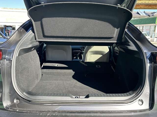 マツダ ＣＸ−３０ ２．０ ２０Ｓ プロアクティブ ツーリングセレクション R5年 (東海) 99