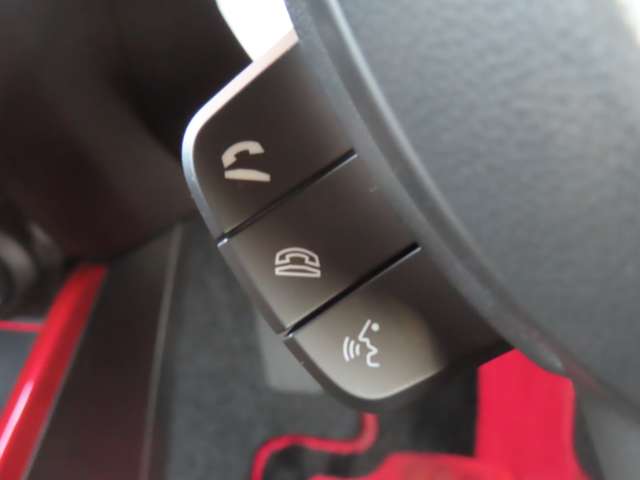 スズキ スイフト スポーツ １．４ R4年 (関東) 99