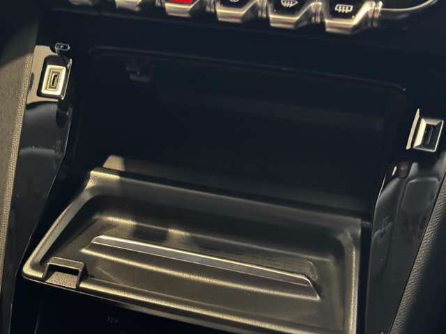 プジョー ＳＵＶ ２００８ アリュール R2年 (中国) 99