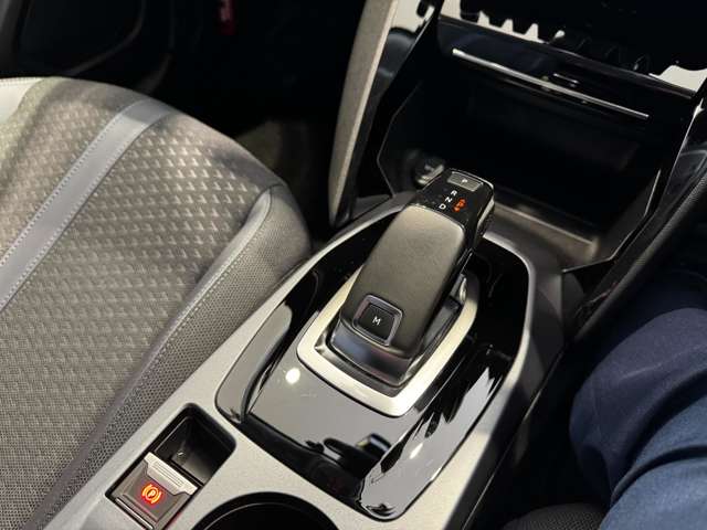 プジョー ＳＵＶ ２００８ アリュール R2年 (中国) 99