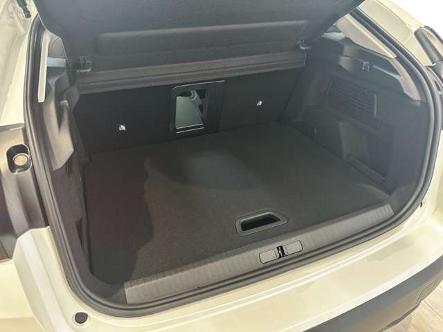 シトロエン Ｅ−Ｃ４ シャイン R5年 (中国) 99