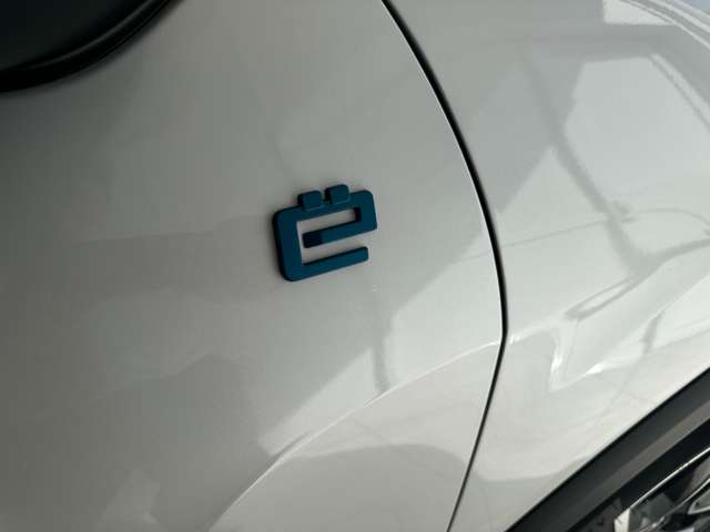 シトロエン Ｅ−Ｃ４ シャイン R5年 (中国) 99