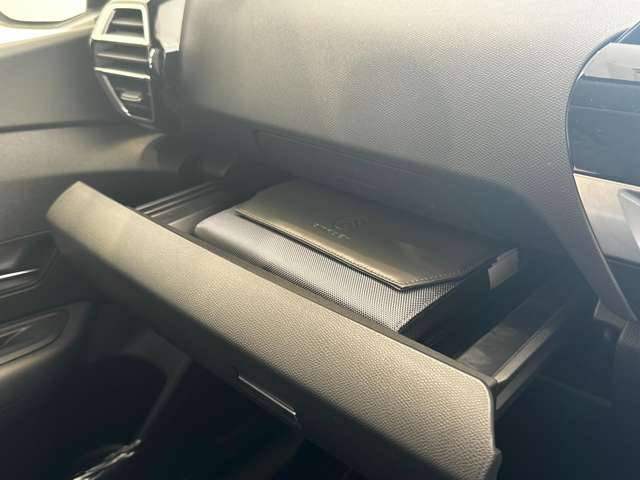 シトロエン Ｅ−Ｃ４ シャイン R5年 (中国) 99