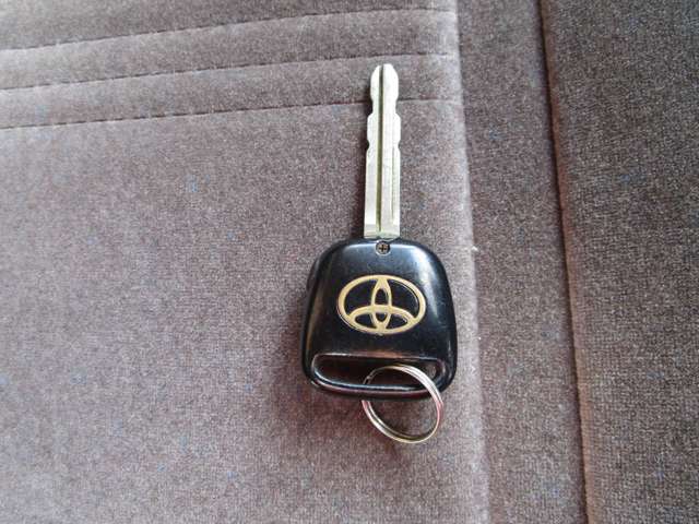 トヨタ ハイエースワゴン ３．０ スーパーカスタムリミテッド トリプルムーンルーフ ディーゼルターボ H12年 (中国) 99