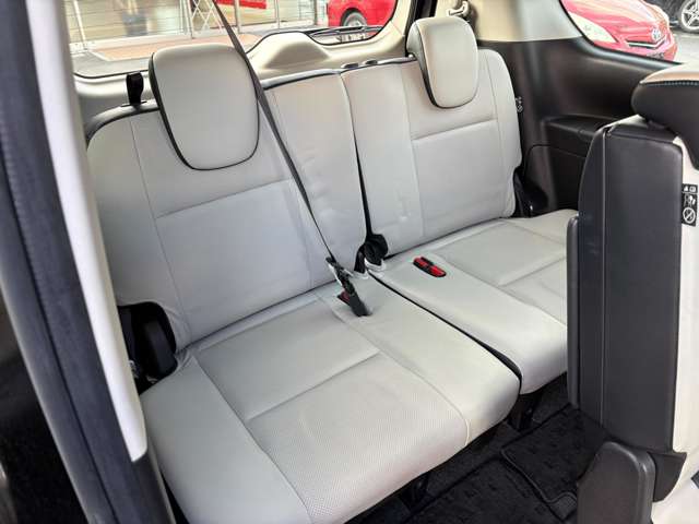 日産 セレナ ２．０ ライダー オーテック ３０ＴＨアニバーサリー プロパイロット エディション H28年 (中国) 99