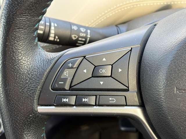 日産 セレナ ２．０ ライダー オーテック ３０ＴＨアニバーサリー プロパイロット エディション H28年 (中国) 99