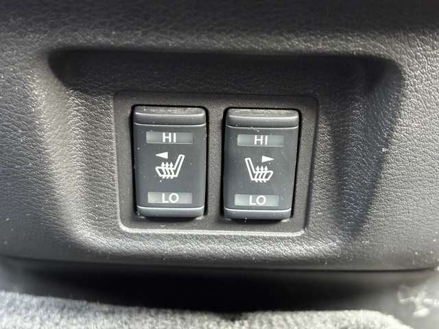 日産 セレナ ２．０ ライダー オーテック ３０ＴＨアニバーサリー プロパイロット エディション H28年 (中国) 99