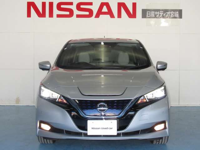 日産 リーフ Ｇ H30年 (九州・沖縄) 99