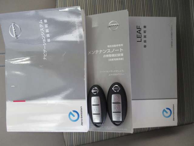 日産 リーフ Ｇ H30年 (九州・沖縄) 99