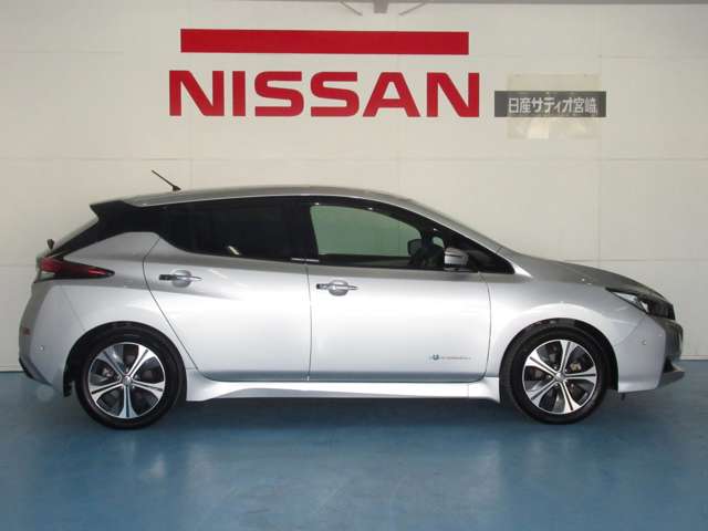 日産 リーフ Ｇ H30年 (九州・沖縄) 99