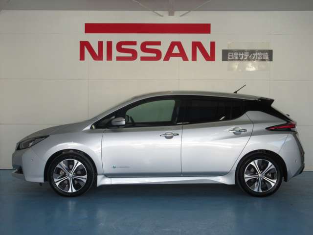 日産 リーフ Ｇ H30年 (九州・沖縄) 99