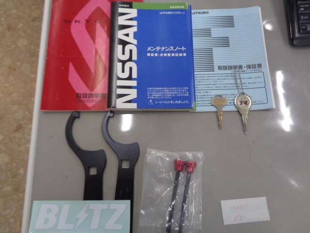 日産 スカイラインＧＴ−Ｒ ２．６ Ｖスペック ４ＷＤ H7年 (中国) 99