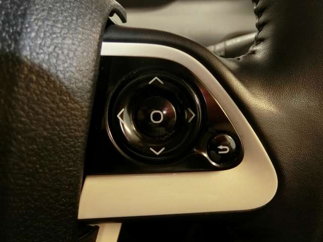 トヨタ プリウス １．８ Ｓ ツーリングセレクション H28年 (中国) 99