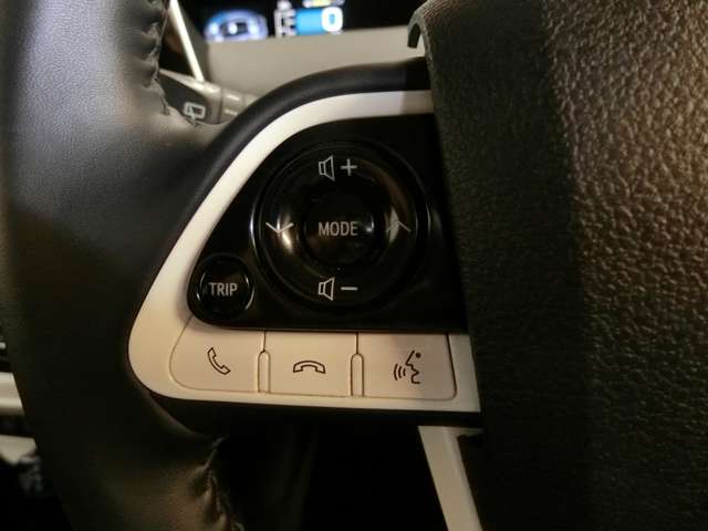 トヨタ プリウス １．８ Ｓ ツーリングセレクション H28年 (中国) 99