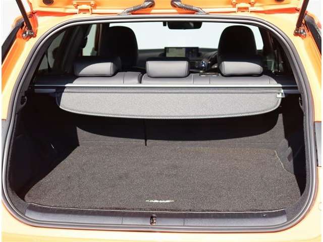 レクサス ＣＴ２００ｈ Ｆスポーツ H30年 (関東) 99