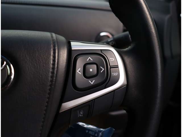 トヨタ エスティマ ２．４ アエラス プレミアム H30年 (関東) 99