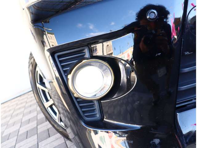 トヨタ ヴェルファイア ２．４Ｚ H21年 (関東) 99