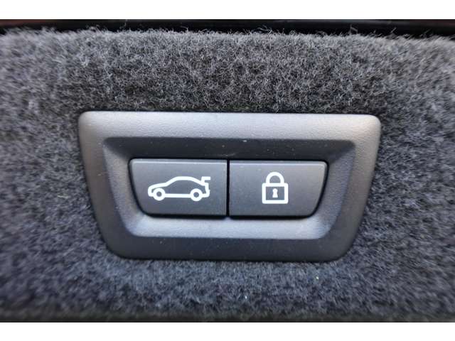 ＢＭＷ ８シリーズ Ｍ８５０Ｉ Ｘドライブ ４ＷＤ R1年 (近畿) 99