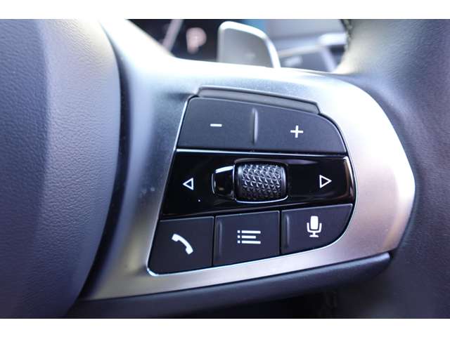 ＢＭＷ ３シリーズ ３２０ｉ　Ｍスポーツ R6年 (近畿) 99