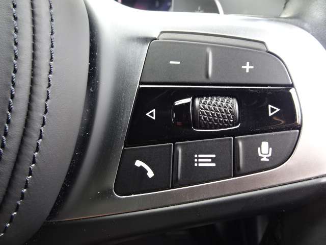 ＢＭＷ ３シリーズ ３２０ｉ　Ｍスポーツ R6年 (近畿) 99