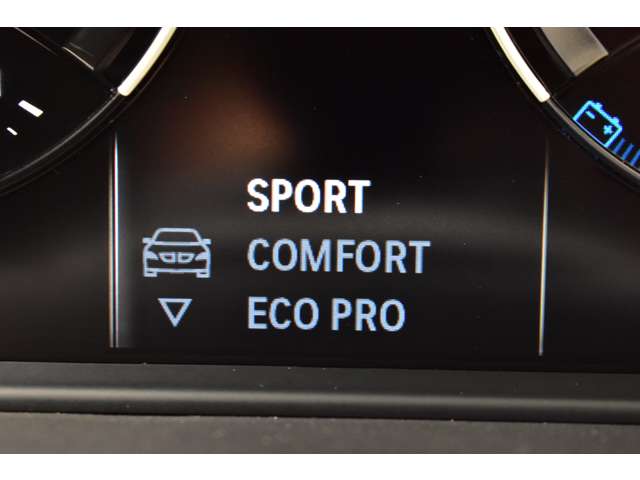 ＢＭＷ Ｘ１ Ｘドライブ １８Ｄ Ｘライン ４ＷＤ R1年 (関東) 99