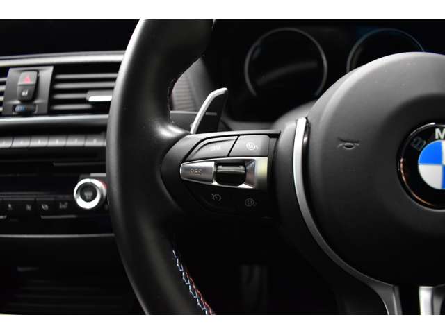 ＢＭＷ Ｍ２コンペティション Ｍ ＤＣＴドライブロジック H30年 (関東) 99