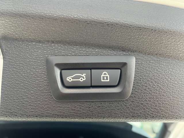 ＢＭＷ Ｘ２ Ｘドライブ２０Ｉ ＭスポーツＸ ４ＷＤ H30年 (東海) 99