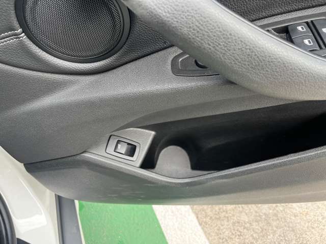 ＢＭＷ Ｘ２ Ｘドライブ２０Ｉ ＭスポーツＸ ４ＷＤ H30年 (東海) 99