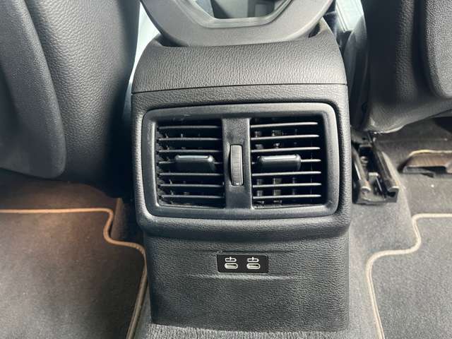 ＢＭＷ Ｘ２ Ｘドライブ２０Ｉ ＭスポーツＸ ４ＷＤ H30年 (東海) 99